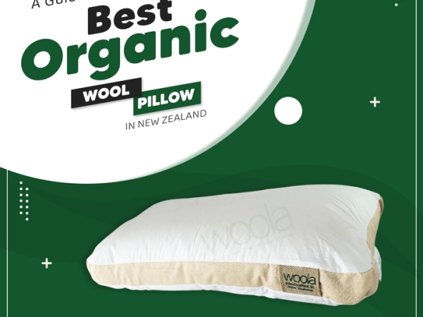 A Guide To Choosing The Best Organic Wool Pillow in New Zealand